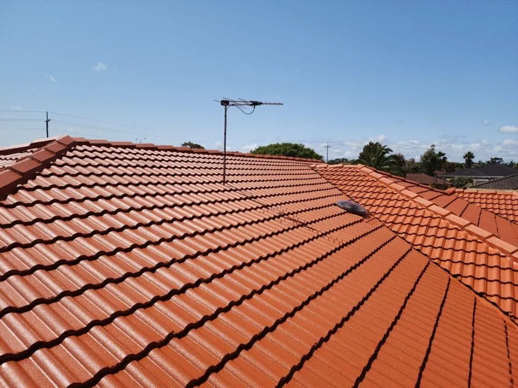 Restored terracotta tile roof on a Perth home with ridge capping re-pointed