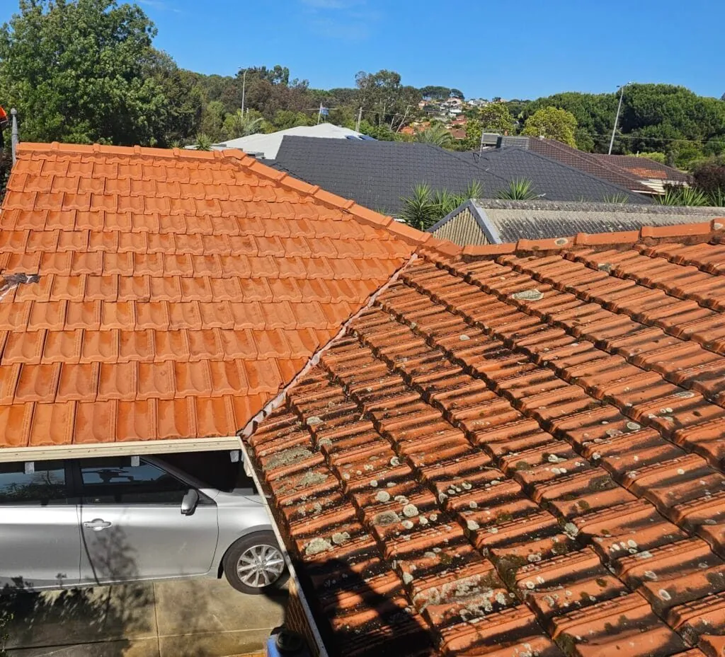 Terracotta tile roof half cleaned, with moss and lichen still covering the untouched section